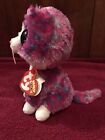 Ty Beanie Boo - Charlotte The Cat  6 Inch  claire s Exclusive  New Mwmt