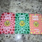 Flintts Mouth Watering Mints 3 Pack - Mint - Strawberry - Lemon