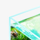 Shallow Rimless  Fish Tank Ultra-clear 45   Mitered Edges Glass Aquarium Tank