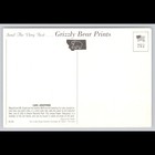 Vintage Glacier National Park Montana Postcard Unposted Scenic View Historic