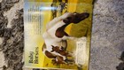 Lot Of 2 Horse Books  Horses  groovy Tube Book    True-or-false Book Of Horses
