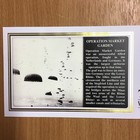 Benham 70th Anniversary World War Ii 2014 Market Garden First Day Cover Au