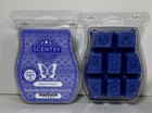 Lot Of 2 Scentsy Wax Bars-3 2 Fl Oz-scented Candle Melts For Warmer-brand New