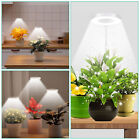 Led Grow Light Plant Growing Lamp Full Spectrum For Indoor Plants With Timer