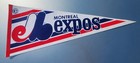 Lot Of 17 Sports Collectable Display Felt Pennant Flag Banner Mlb Nhl 30 X 12