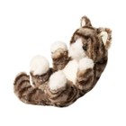 Douglas Gray Striped Kitten Lil    Baby Handful Plush Toy Stuffed Animal 6    Small