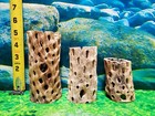 3 Pcs Teddy Bear Cholla Wood   Cleaned    Strong   Aquarium Cave  Air Plants