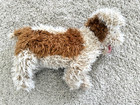 Ty Classic Toffee Shaggy Puppy Dog Plush Terrier Stuffed Toy Animal Large 
