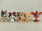 5pcs lot Littlest Pet Shop Figure Lps Cat Dog Dragon  817 2141 1451 2484 Kid Toy