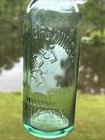Quanot Brewing Co  Embossed Beer Bottle  Troy Ny