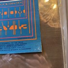 Family Dog The Doors 1967 Poster  61-1 Good Clean 1967 Original