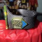 Wwe Nxt World Heavyweight Championship Title