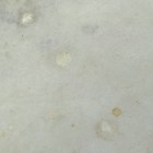 Leedy ludwig Unmarked 14  Snare Drum Calf Skin Batter Head Floor Tom Vintage 40s