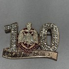 Delta Sigma Theta Vintage 100th Anniversary Pin New