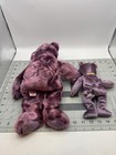 Rare Ty 2000 Vintage Beanie Buddy And Baby    signature Bear    With Tag