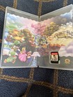 Nintendo Switch Super Mario Bros  Wonder Game Cartridge W case
