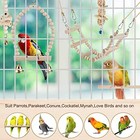 Bird Parrot Swing Toys  Chewing Standing Hanging Perch Hammock Climbing Ladder B