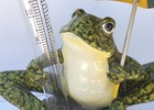 Frog Rain Gauge Hand Painted Ceramic Frog On Rock  Glass Measure  Metal Umbrella