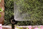 25 Rainbird 10q 10  Quarter-circle Pattern Sprinkler Nozzles 1 4