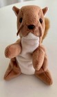 Vtg 1996 Ty Beanie Baby Brown Nuts The Squirrel Stuffed Animal Plush 90   s Toy