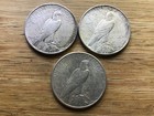 1922 Peace Silver Dollar Lot Of 3 Coins Lot B