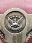     United Airlines Wings Badge Pin