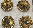 M1881 Original Dress Helmet Side Pins  2 Pair - Medical   Cavalry  Unissued 