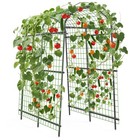 7pipe 7 5 Ft Tall Metal Garden Arch Trellis Netting For Vegetables Flowers