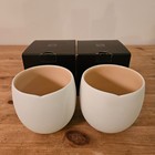 Set Of 2 Nespresso India Mahdavi Large Origins Collection Coffee Mug Matte