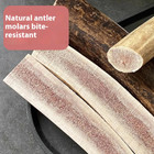 Dog Chews Deer Antler Teething Sticks For Puppies   Training Treats
