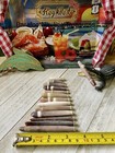 Sea Urchin Spines   Lot Of 1 Lb   Sea Shell Decor   Seashell Crafts   Sea Urchin