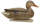 Avian-x Topflight Ow Mallard Decoys  pk 6 