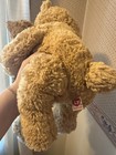 Ty Classic Cradles Mom And Baby Bear Plush     Rare Collectible