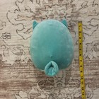 Squishmallows 8    Winston The Owl Plush Toy Teal Blue Turquoise Cute Animal