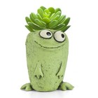 Blobhouse Orville Frog Planter