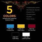 Pinstriping Color Box Kit 5 Colors  Reducer  Brushes   Mixing Equipment