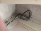 Kx 80 Or Kx 100 Expation Chamber Realy Good Condition