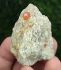 36-gm Rare Spessartine Orange Garnet Gemmy Crystals On Quartz With Mica   afg