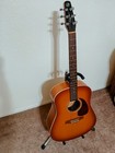 Seagull Entourage Rustic Burst