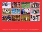 2027 Cardigan Welsh Corgi Puppies Calendar