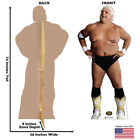 Dusty Rhodes Wwe Wrestling Lifesize Cardboard Cutout Standup Standee Poster