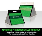 Maxguard Pantry Moth Traps  4 Trial Pack  Extra Strength 4 Pack  Green