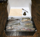 Herbal Apothecary Witch Kit 35 Pcs Beginner advanced Herbal Witch Kit  Spellwork