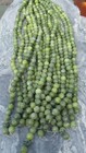 Genuine Connemara Marble 10mm Round Beads X 40 Guaranteed Irish