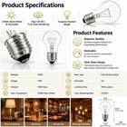 100 Watt Incandescent Light Bulbs  A19 Clear Incandescent Rough Service Light   
