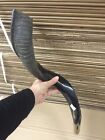 Half Polished Natural Judaica Kosher 22 -24  Yemenite Kudu Shofar Horn Israel