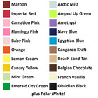Over 100 Sheets  8 5  X 11  Premium Quality Cardstock Paper - 21 Rainbow Colors