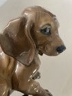 Vintage Rosenthal Germany Dachshund Puppy 6    Handgemalt Theodore K  rner  1247