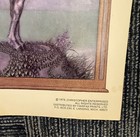 Vintage 1976 The Citadel At Sunrise Poster Steve Hickman Middle Earth Lotr