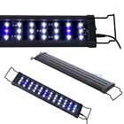 0 5w Led Light 12  18  24  30  36  48  72  High Lumen Aquarium Fowlr White Blue